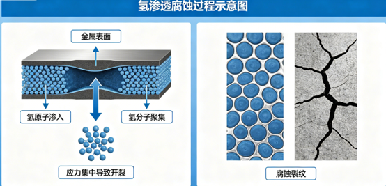 图片33333.png
